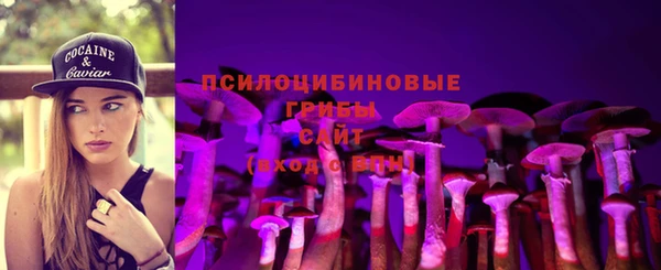 а пвп мука Алзамай