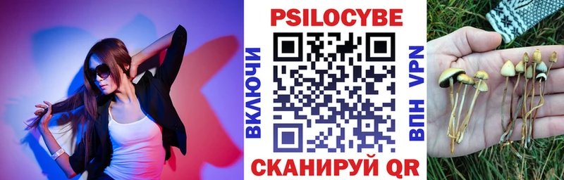 Галлюциногенные грибы Psilocybe  магазин    Коркино 